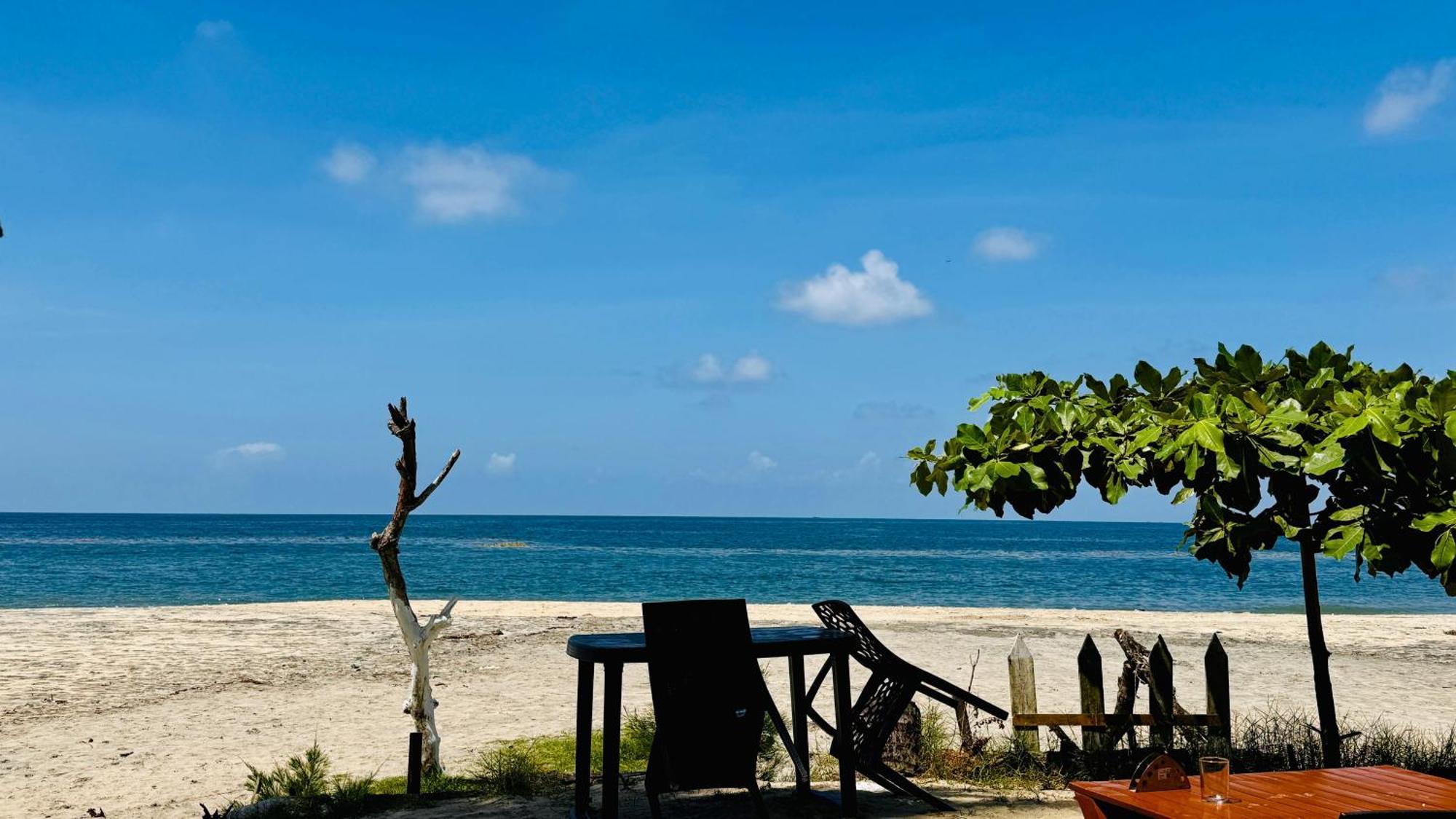 Alivious Beach Homestay Alappuzha Eksteriør billede